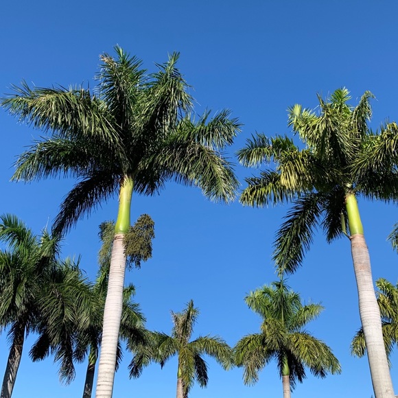 Meet your Posher, Colleen - Picture 2 of 3